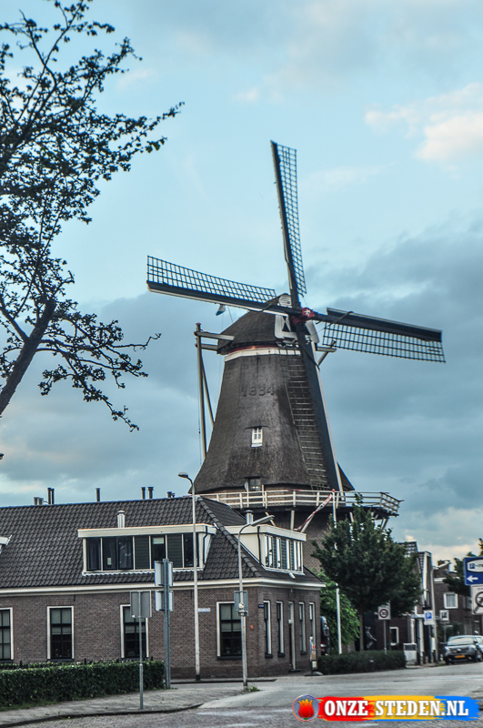 Korenmolen de Zwaluw in Hoogeveen
