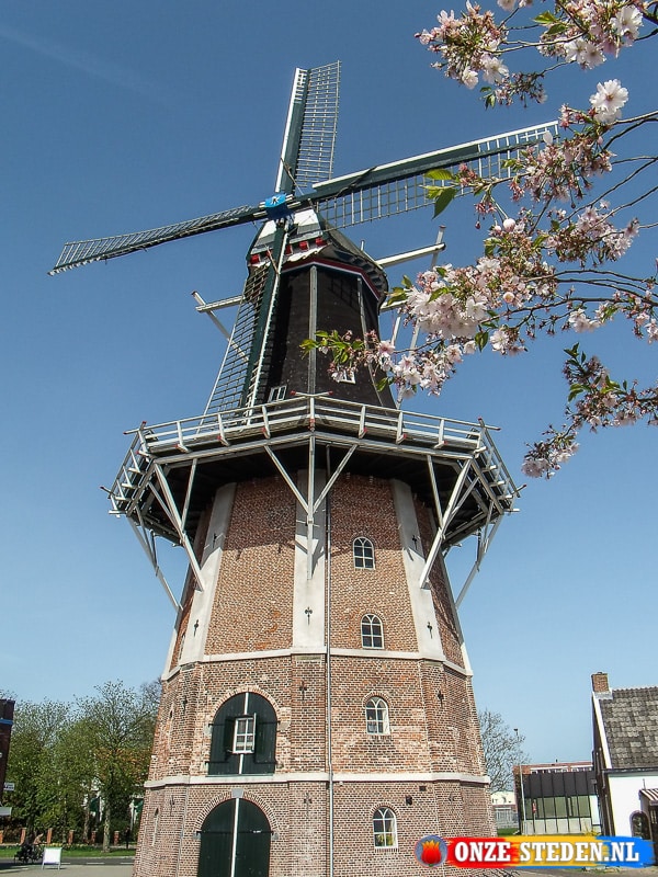 Moulin à vent Edens à Winschoten